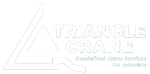 triangle crane white logo vector