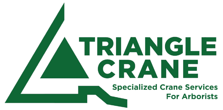 triangle crane logo vector