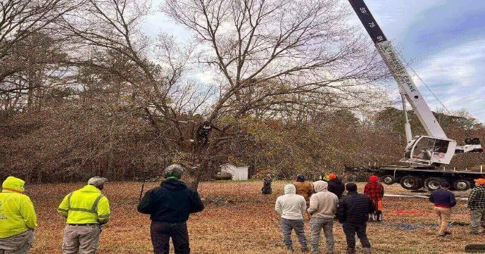 A white triangle crane truck operates in a field, surrounded by a group of people observing its work.