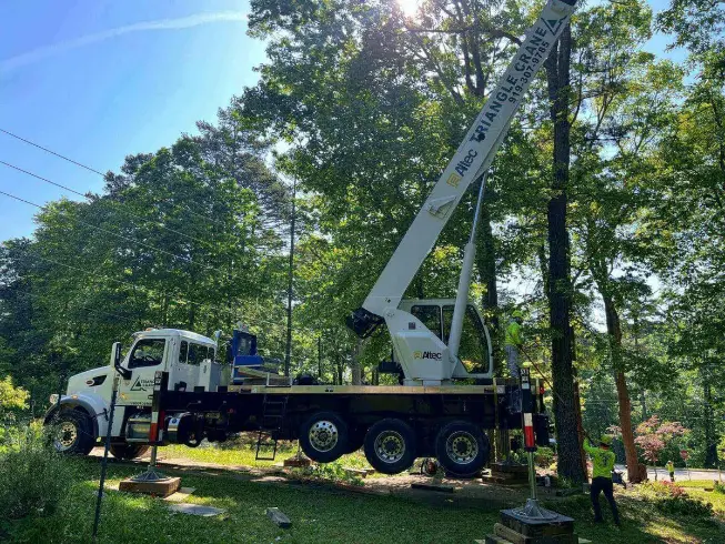 A construction crane stands stationary next to a tall tree, highlighting the contrast between industrial and natural elements.