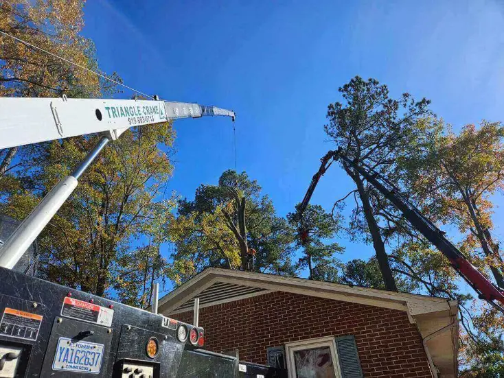 A crane lifts a large tree off the roof of a house, showcasing construction and rescue efforts in progress.