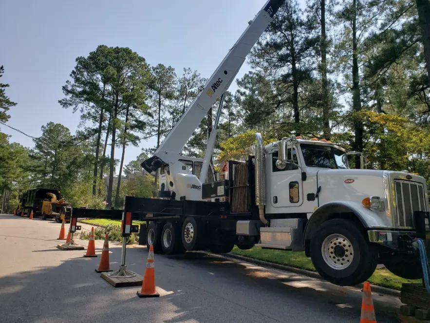 A white Triangle Crane truck parked on the roadside, showcasing its large crane arm extended upwards.