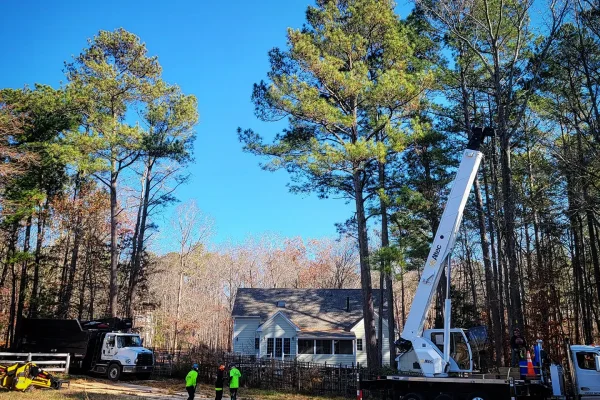 white truck with a crane